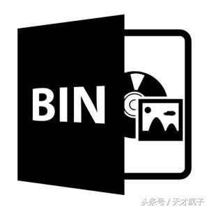 游戏 bin文件